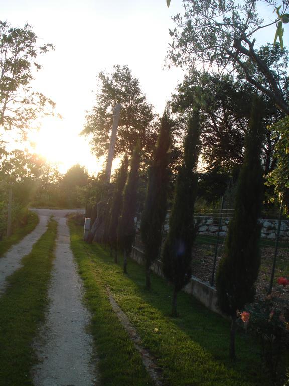 Vakantieboerderij La Fattoria