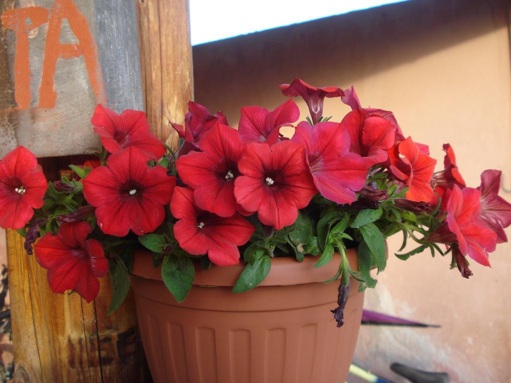 La Fattoria Vakantieboerderij
